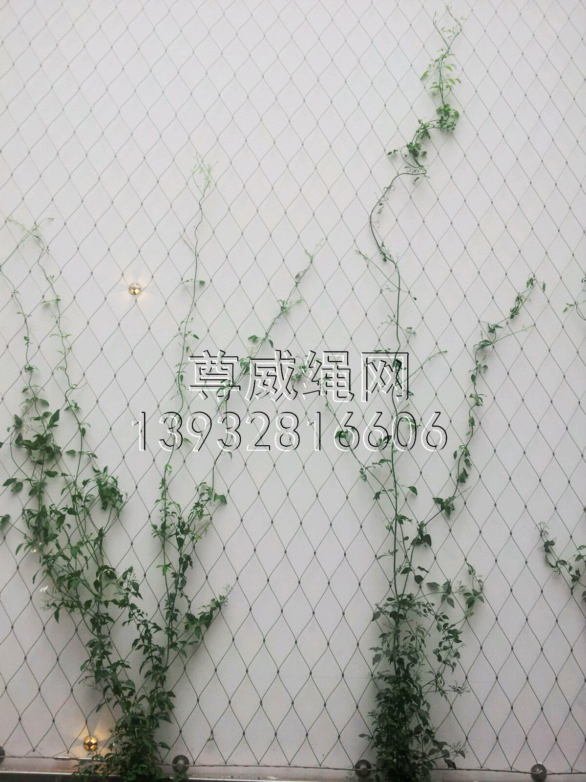不锈钢绳网